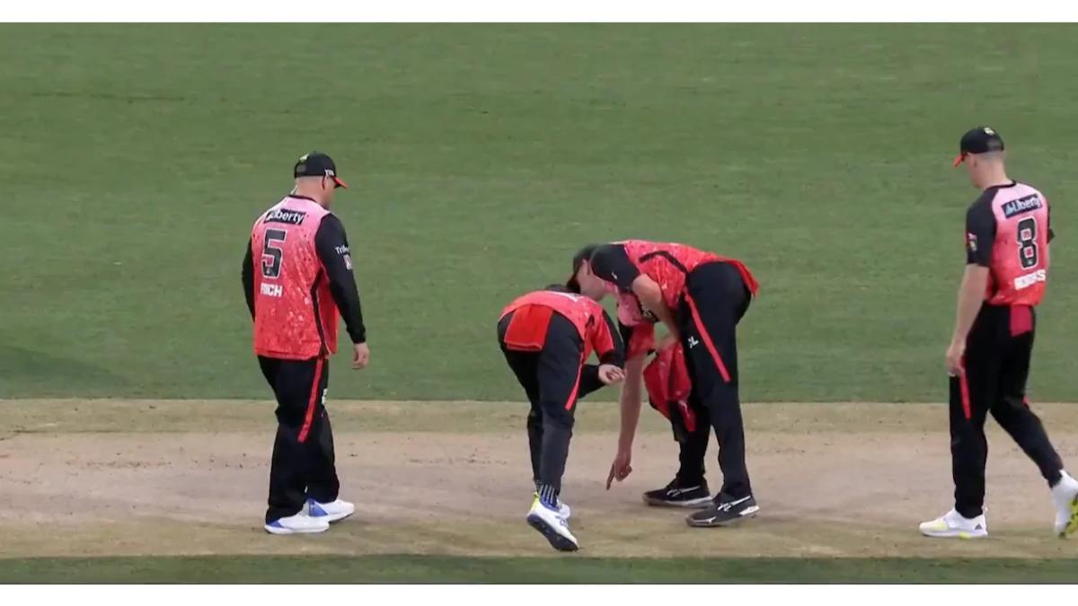 Melbourne Renegades vs Perth Scorchers Match Abandoned: Safety Concerns on Unsafe Pitch Impact BBL Fixture