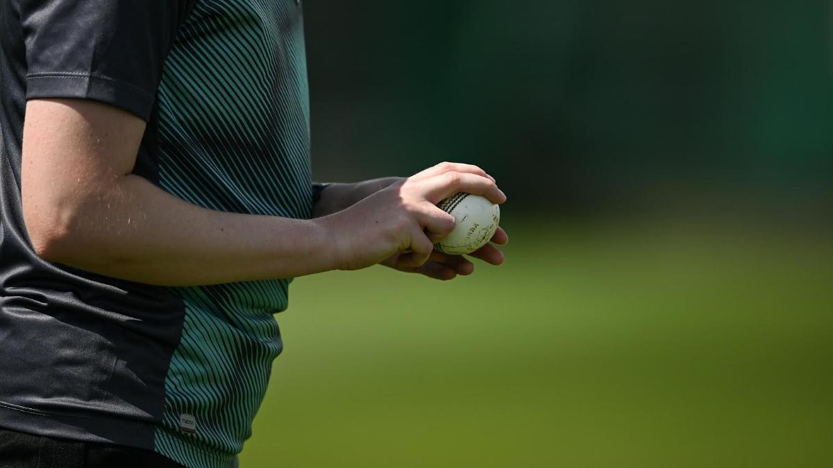 Cricket Ireland plans for future, High Performance improvements announced